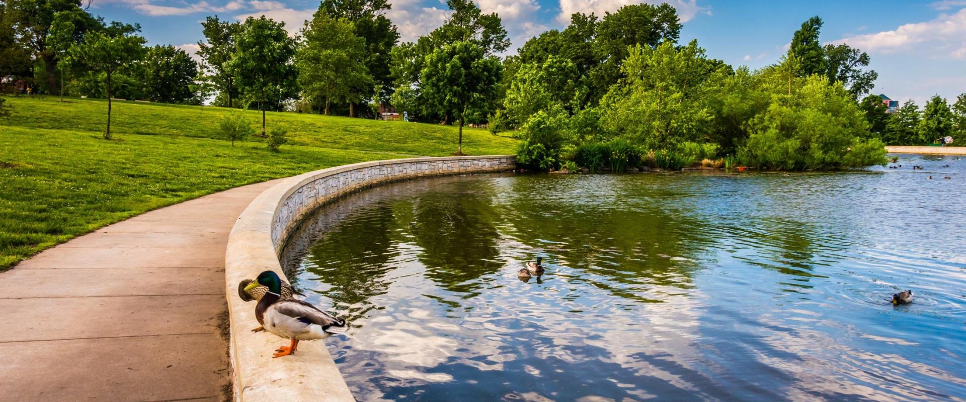 Explore the Best Parks in Baltimore County Neighborhoods