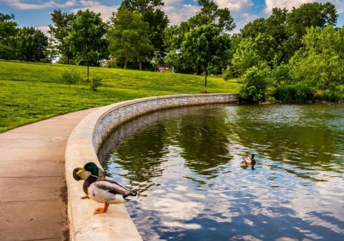 Explore the Best Parks in Baltimore County Neighborhoods